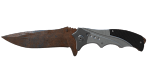 Rust Coat image