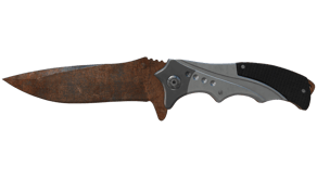 Rust Coat image