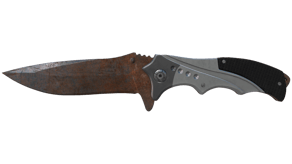 Rust Coat image