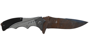 Rust Coat image