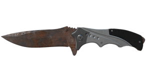 Rust Coat image