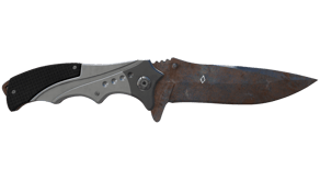 Rust Coat image