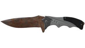 Rust Coat image