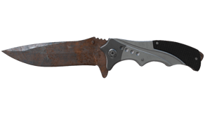 Rust Coat image