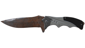 Rust Coat image