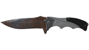 Rust Coat image