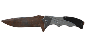 Rust Coat image