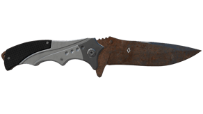 Rust Coat image