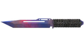 Doppler Phase 1 image