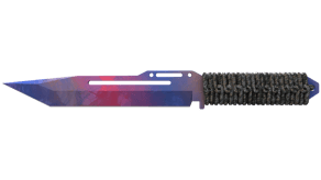 Doppler Phase 1 image