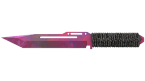 Doppler Phase 2 image