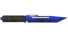 Doppler Phase 4 image