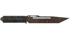 Rust Coat image