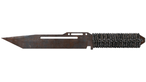 Rust Coat image