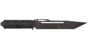 Rust Coat image