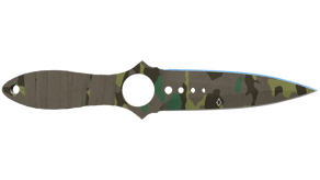 Boreal Forest image