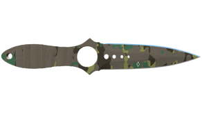 Boreal Forest image