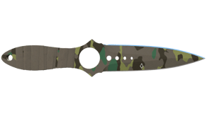Boreal Forest image