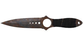 Rust Coat image