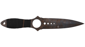 Rust Coat image