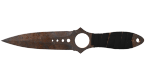 Rust Coat image