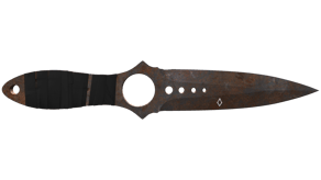 Rust Coat image
