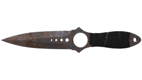 Rust Coat image