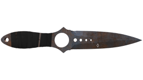 Rust Coat image