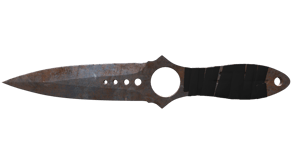 Rust Coat image