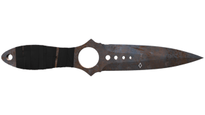 Rust Coat image