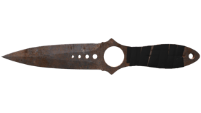 Rust Coat image