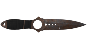 Rust Coat image