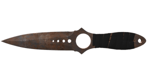 Rust Coat image