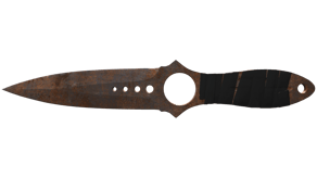 Rust Coat image