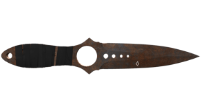Rust Coat image