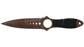 Rust Coat image