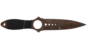 Rust Coat image