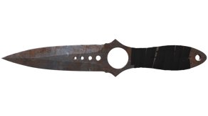 Rust Coat image
