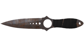 Rust Coat image