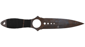 Rust Coat image
