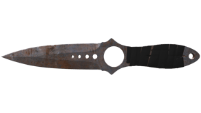 Rust Coat image