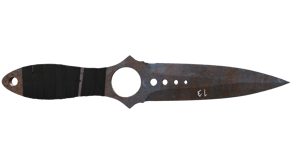 Rust Coat image