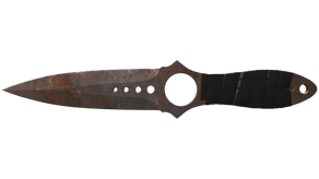 Rust Coat image