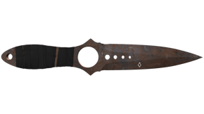 Rust Coat image
