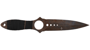 Rust Coat image