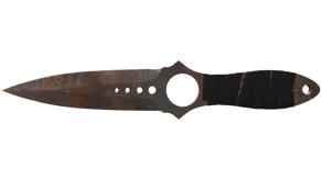 Rust Coat image