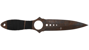 Rust Coat image