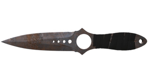 Rust Coat image