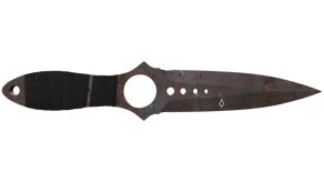 Rust Coat image