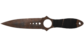 Rust Coat image